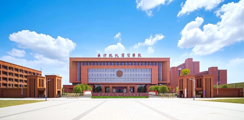 长沙商品批发行业的变革与机遇